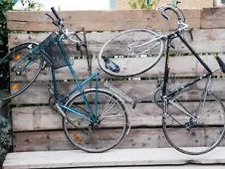 Cece E Simo